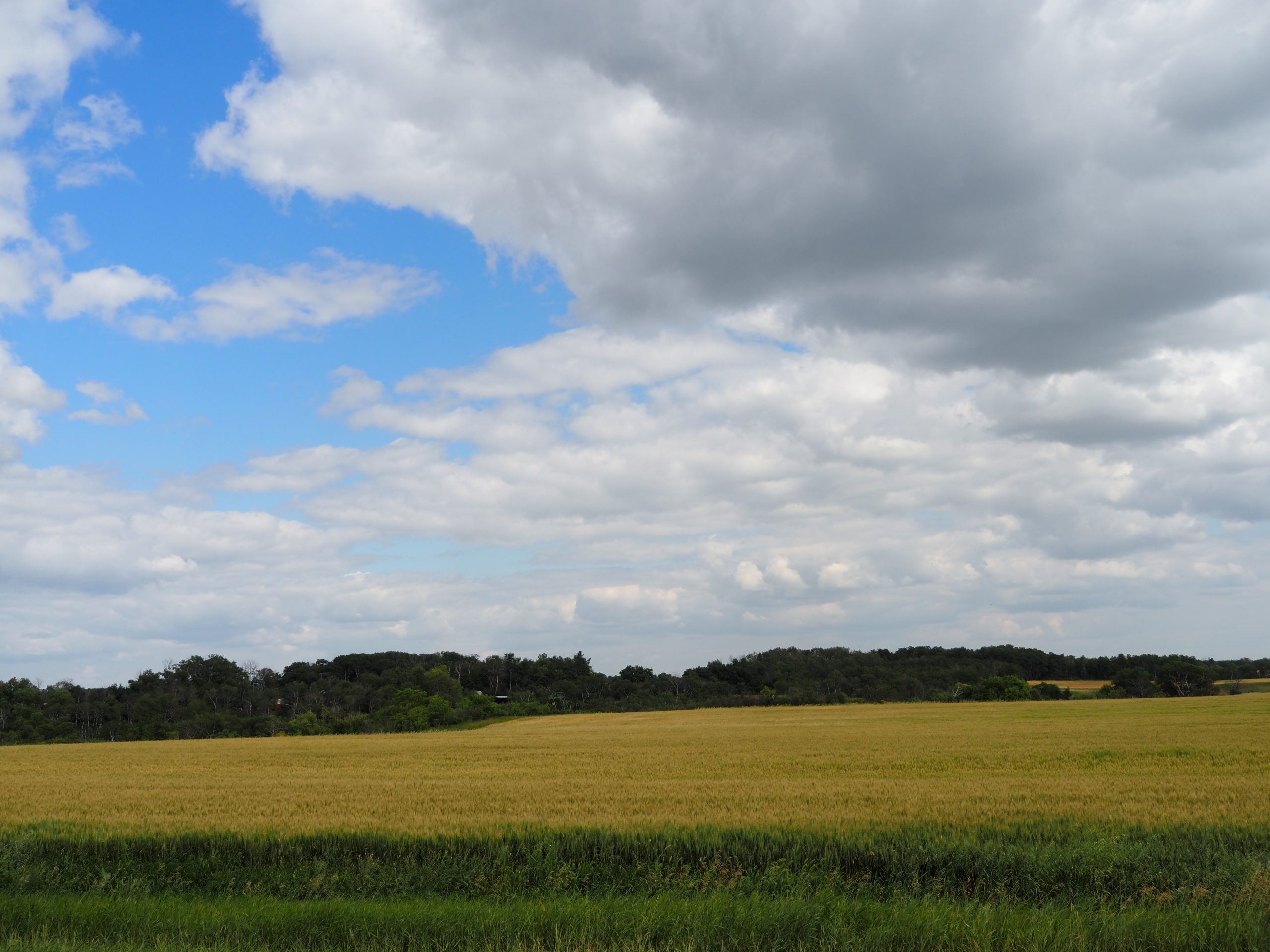 The Great Canadian Road Trip – Hitting the prairies proper